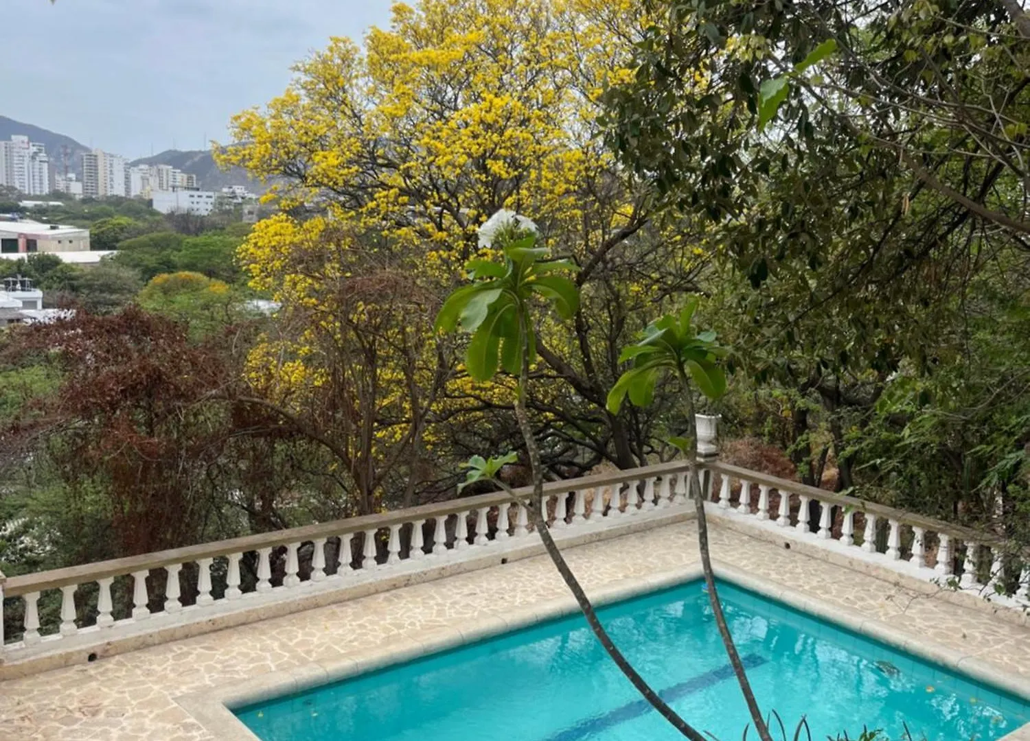 Jardin Etnobotanico Villa Ludovica Santa Marta  Santa Marta (Magdalena)
