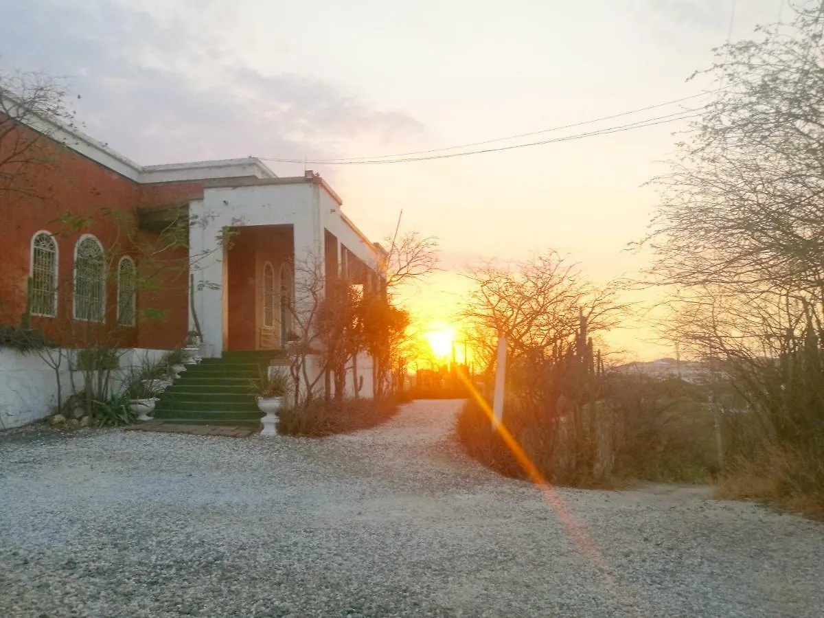 Jardin Etnobotanico Villa Ludovica Santa Marta  Santa Marta (Magdalena)