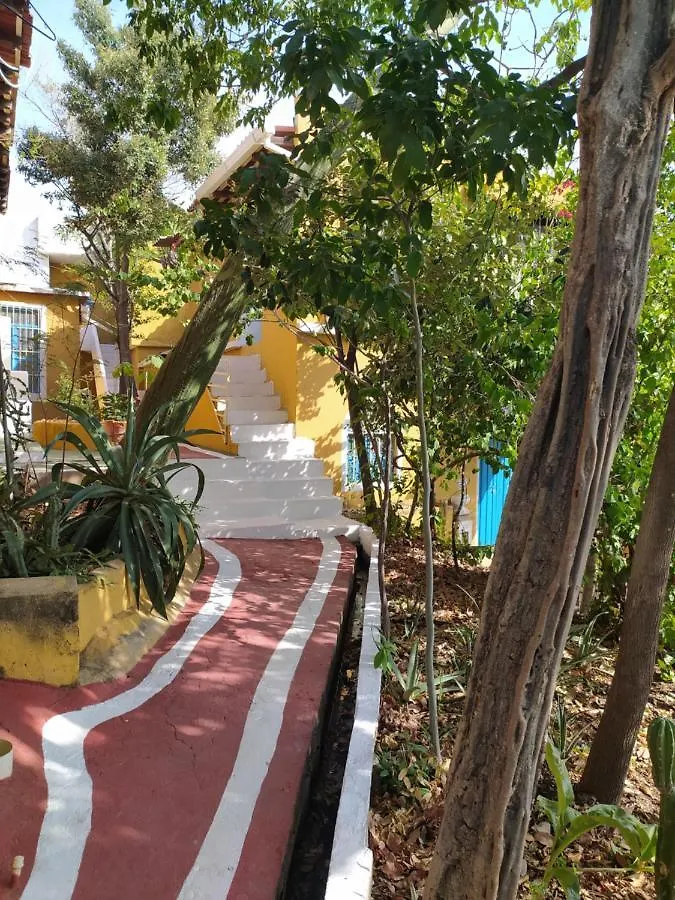 Jardin Etnobotanico Villa Ludovica Santa Marta  0*, Santa Marta (Magdalena) Colombia