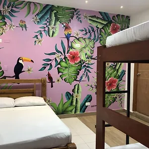  Pensión Casa Nuba Eco