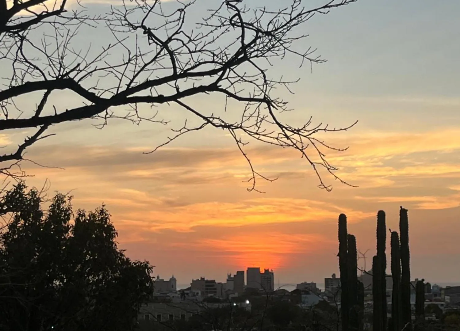 Jardin Etnobotanico Villa Ludovica Santa Marta  Santa Marta (Magdalena)