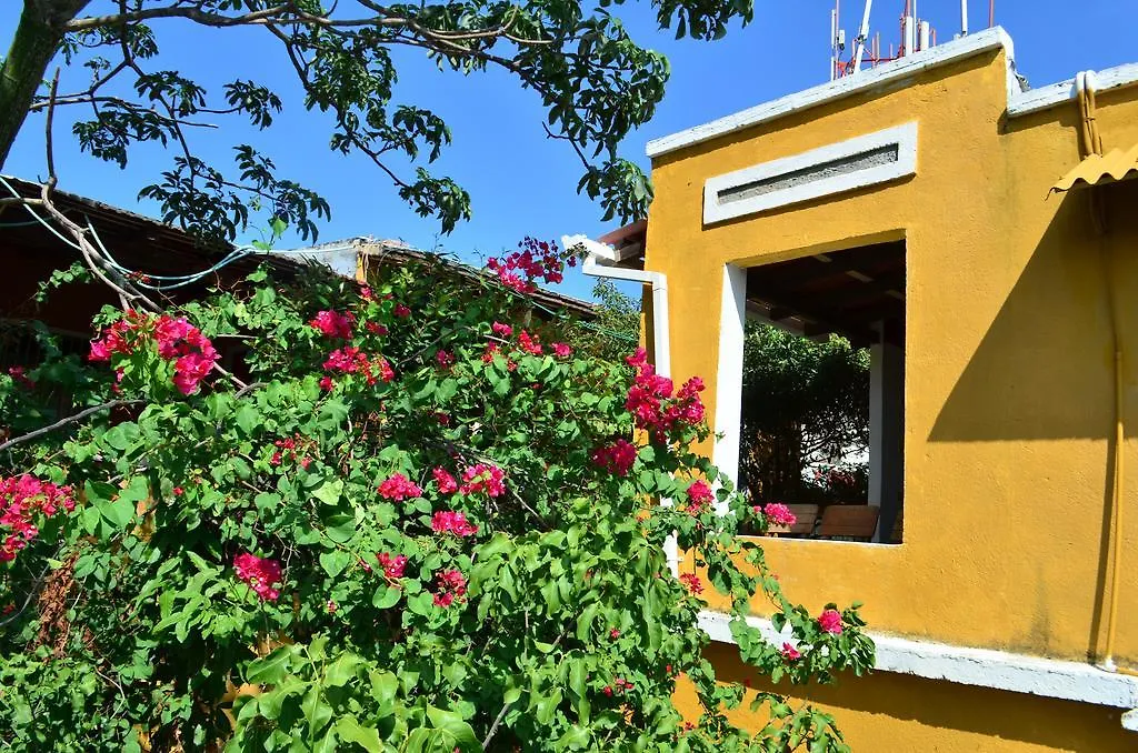 Jardin Etnobotanico Villa Ludovica Santa Marta  Colombia