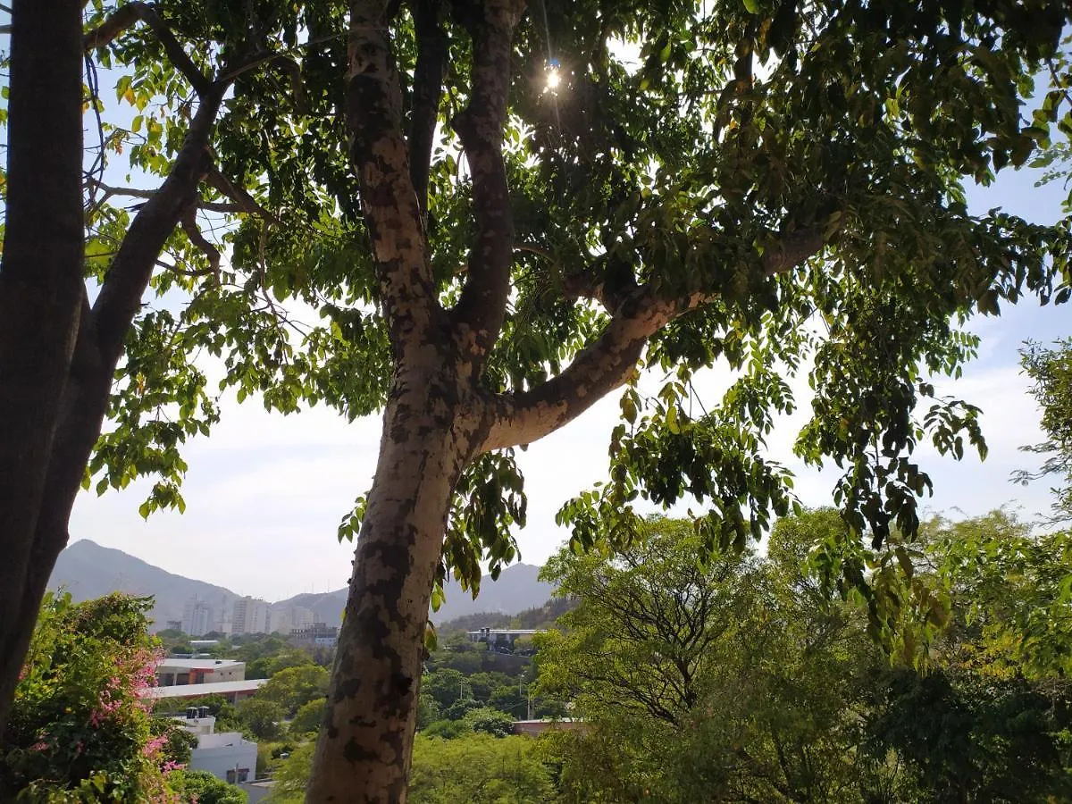 Jardin Etnobotanico Villa Ludovica Santa Marta