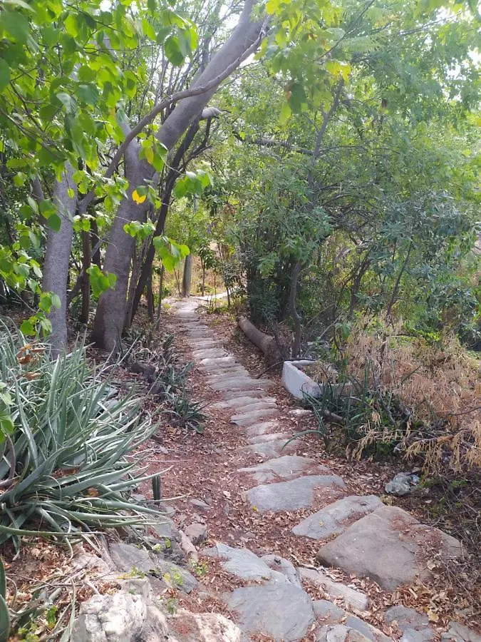 Jardin Etnobotanico Villa Ludovica Santa Marta  Bed and breakfast Santa Marta (Magdalena)